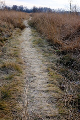 Trampelpfad durch ein Moor 