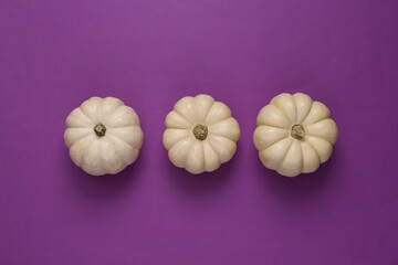 Mini white pumpkins on purple background