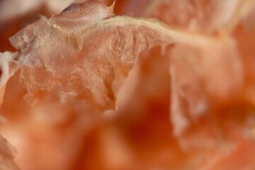 Close up of a pomelo peel