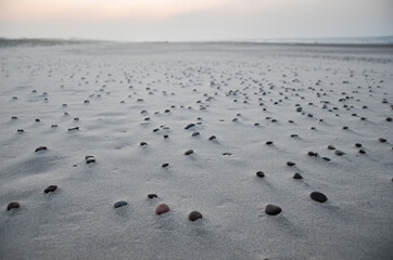 Empty quiet beach and Baltic Sea, Slowinski National Park, Leba. Fog in the background