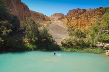Kid in green lake in the middle of Sahara Desert. Oasis in Chebika