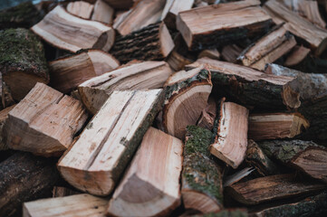 Wooden natural sawn logs as background, top view, flat lay. Wood texture.