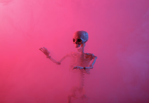 Skeleton in dense smoke with pink blue neon light. Scary, Halloween theme