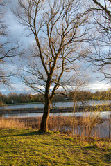 Abenddämmerung im Frühling am Obersee in Bielefeld, Ostwestfalen.
