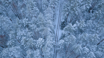 snow-covered road in the middle of a winter forest tops of trees in the snow from a drone