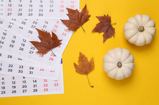 Autumn time. Pumpkins, fallen leaves and a calendar on yellow background. Top view