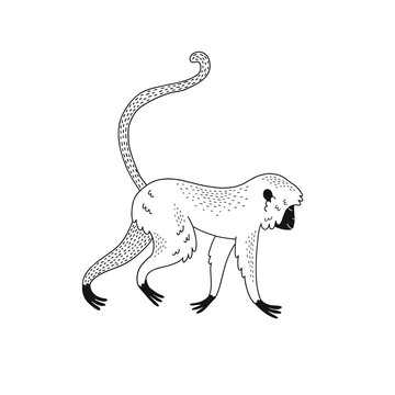 Cute walking monkey isolated vector illustration. Jungle animal black and white childish graphic drawing Perfect for one colour silk screen printing t-shirt design