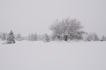Snow covered landscape in winter