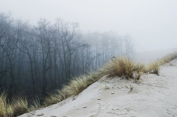Moving dunes in the fog, cloudy evening, Slowinski National Park, Leba - obrazy, fototapety, plakaty