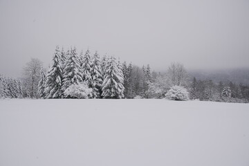 Fototapeta premium Snow covered landscape in winter