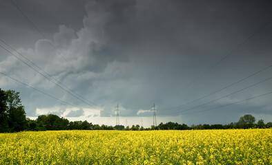 Yellow rape field and dark sky, cloudy day in Pruszkow