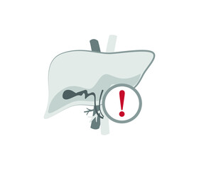 human organ liver flat icon, vector illustration