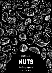 Fototapeta premium Nuts collection hand drawn sketch. Vector illustration. Organic healthy food. Great for packaging design. Engraved style. Black and white color