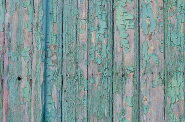 Old peeled paint on a wooden fence. Wooden boards.