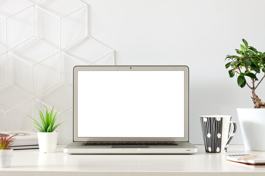 An office by an empty wall. Home Office. School desk. Copy space. Plants at home. Open laptop. Template. Mockup.
