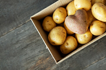 Red potato in the shape of a heart in a cardboard box among white potatoes.