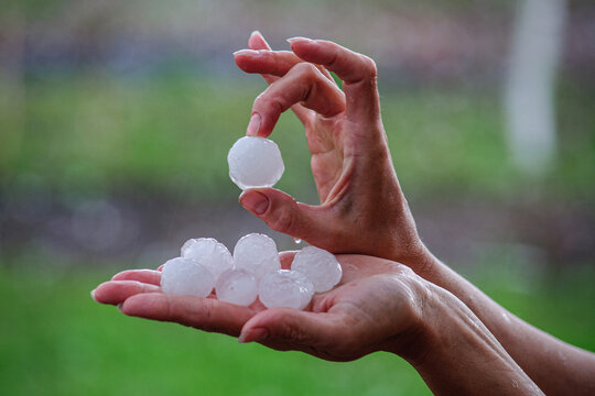 Large hailstones on women's palms in spring