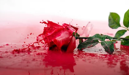 Foto op Canvas Closeup picture of a fallen rose covered by red paint © konradbak