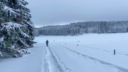 Schneeschuhwandern am Klippeneck Spaichingen