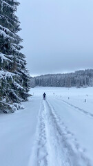 Schneeschuhwandern am Klippeneck Spaichingen