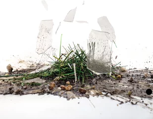 Zelfklevend Fotobehang Broken jar with soil and green plant © konradbak