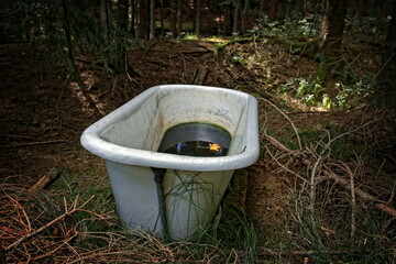 An old bathtub left in the forest