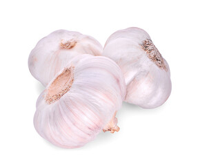 garlic, an isolated on a white background