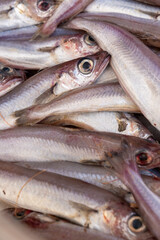 Obraz premium Stack of fresh Merlangius merlangus, commonly known as whiting or merling, This fish is similar to the hake, sold it at market.