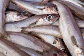 Stack of fresh Merlangius merlangus, commonly known as whiting or merling, This fish is similar to the hake, sold it at market.