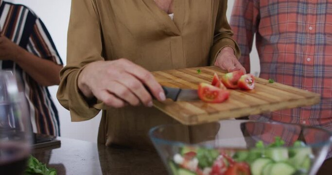 Diverse senior couples preparing vegetable salad in a kitchen