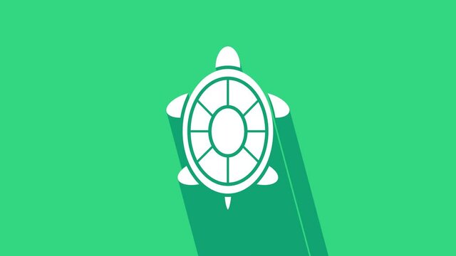 White Turtle icon isolated on green background. 4K Video motion graphic animation.