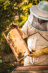 apicultor sosteniendo marco con ebejas lleno de miel 