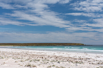 Volunteer Point, East Falkland.