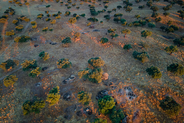 Landscape in Dehesa de la luz. the graves are archaeological remains of IV century AD approximately.