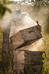 apicultor en medio de humo cargando una colmena de abejas