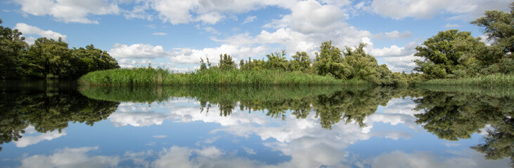 reflection of trees in the lake