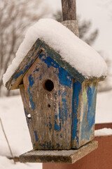 bird house in the snow