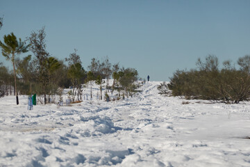 A person walking through the Meaques-Retamares environment after the snowfall caused by the storm Filomena in Madrid. Spain