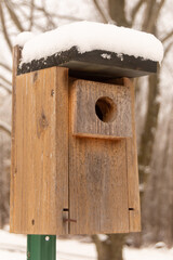 bird house in the snow
