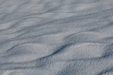Fototapeta premium Ice crystals after the snowfall caused by storm Filomena in Madrid. Meaques-Retamares environment. Spain