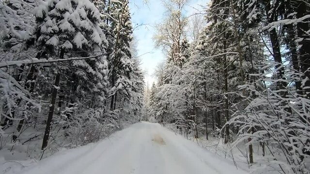 A car ride through a beautiful snowy forest in winter on a frosty day. Beautiful nature in the snow against a blue sky