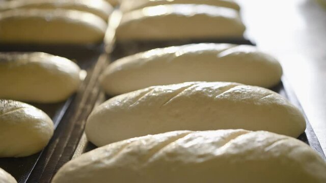 Process of spraying and sprinkling poppy seeds on raw loaves before baking