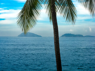 Ocean view with islands and palm trees, Rio de Janeiro