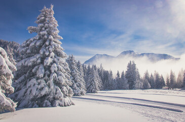 Fototapeta na wymiar paysage de neige dans les alpes par un temps magnifique et un froid hivernal
