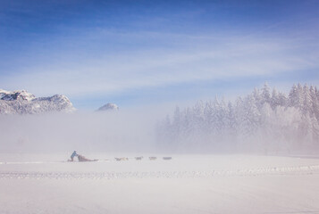 Traineau, musher et chiens de traineau dans un magnifique paysage de neige en hiver dans les alpes