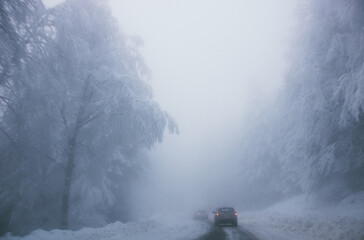 Paysage de neige, de blizzard, de brume avec un froid glacial en plein hiver