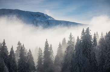 paysage de montagne en hiver
