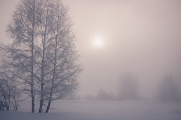 Obraz na płótnie Canvas Paysage de neige, de blizzard, de brume avec un froid glacial en plein hiver