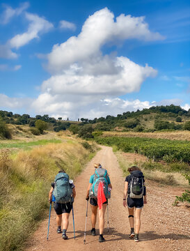 Three Pilgrim Women Walking the Way of St James through the Picturesque Landscapes of La Rioja