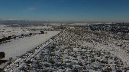 krajobraz zima drzewa śnieg rośliny natura © Piotr